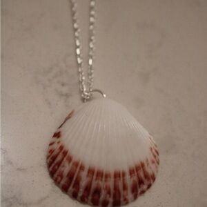 Seashell Pendant Necklace with Silver Chain